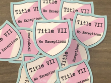 Load image into Gallery viewer, Trans Flag Sticker | Title VII: No Exceptions | Transgender Civil Rights Act Sticker
