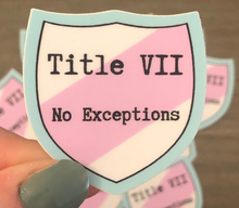 Load image into Gallery viewer, Trans Flag Sticker | Title VII: No Exceptions | Transgender Civil Rights Act Sticker
